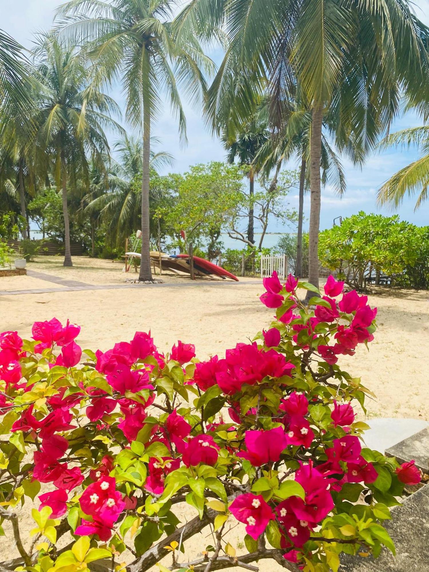 Villa Sethawadi Hotel And Kitesurf Centre Kalpitiya Exterior foto